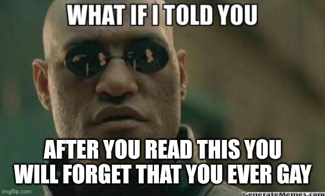 What If I Told You.... | AFTER YOU READ THIS YOU WILL FORGET THAT YOU EVER GAY | image tagged in what if i told you,fun,funny,gay jokes | made w/ Imgflip meme maker