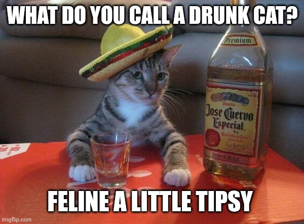 Feline a little tipsy | WHAT DO YOU CALL A DRUNK CAT? FELINE A LITTLE TIPSY | image tagged in alcohol cat | made w/ Imgflip meme maker