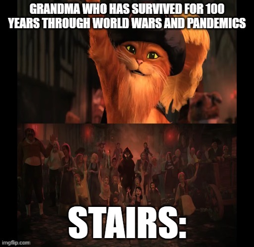 Dude XD | GRANDMA WHO HAS SURVIVED FOR 100 YEARS THROUGH WORLD WARS AND PANDEMICS; STAIRS: | image tagged in death wolf | made w/ Imgflip meme maker