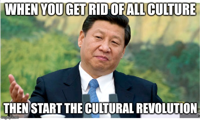 Mao zedong logic | WHEN YOU GET RID OF ALL CULTURE; THEN START THE CULTURAL REVOLUTION | made w/ Imgflip meme maker