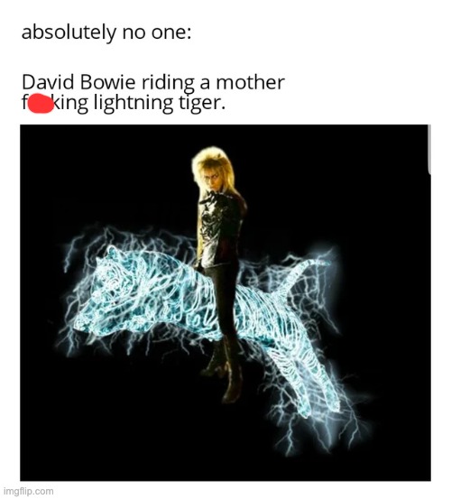 image tagged in memes,funny | made w/ Imgflip meme maker