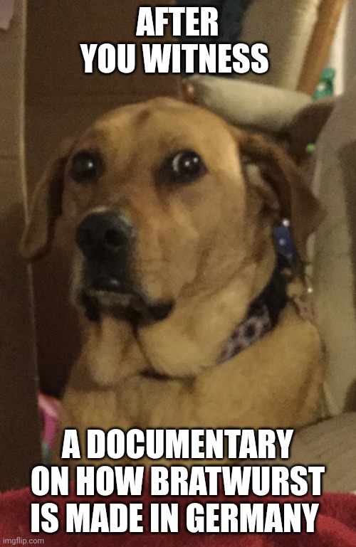 Bratwurst!!!! | AFTER YOU WITNESS; A DOCUMENTARY ON HOW BRATWURST IS MADE IN GERMANY | image tagged in traumatized doggo | made w/ Imgflip meme maker