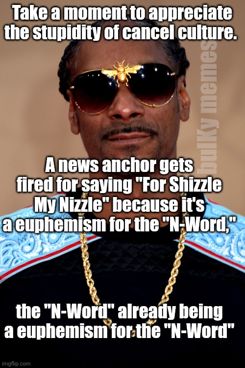For shizz my nizzes | Take a moment to appreciate the stupidity of cancel culture. bulKy memes; A news anchor gets fired for saying "For Shizzle My Nizzle" because it's a euphemism for the "N-Word,"; the "N-Word" already being a euphemism for the "N-Word" | image tagged in snoop dogg | made w/ Imgflip meme maker