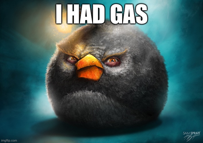 Realistic Bomb Angry Bird | I HAD GAS | image tagged in realistic bomb angry bird | made w/ Imgflip meme maker