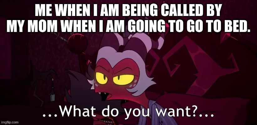 true | ME WHEN I AM BEING CALLED BY MY MOM WHEN I AM GOING TO GO TO BED. | image tagged in what do you want | made w/ Imgflip meme maker