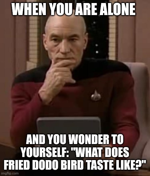 What does fried dodo bird taste like??? | WHEN YOU ARE ALONE; AND YOU WONDER TO YOURSELF: "WHAT DOES FRIED DODO BIRD TASTE LIKE?" | image tagged in picard thinking | made w/ Imgflip meme maker
