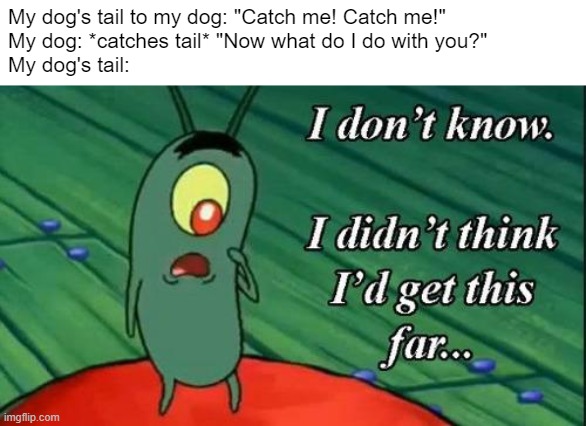 absurdism. | My dog's tail to my dog: "Catch me! Catch me!"
My dog: *catches tail* "Now what do I do with you?"
My dog's tail: | image tagged in plankton i don't know i didnt think id get this far,dog tail,iceu,barney will eat all of your delectable biscuits,dog,memes | made w/ Imgflip meme maker