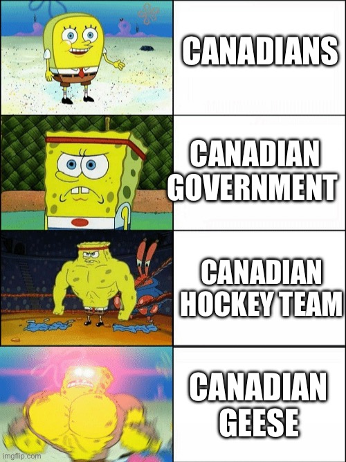 Scawy | CANADIANS; CANADIAN GOVERNMENT; CANADIAN HOCKEY TEAM; CANADIAN GEESE | image tagged in increasingly buff spongebob | made w/ Imgflip meme maker