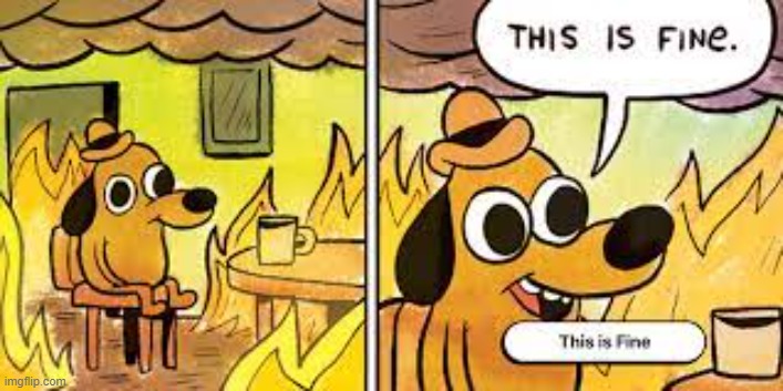 This is fine | image tagged in funny memes | made w/ Imgflip meme maker