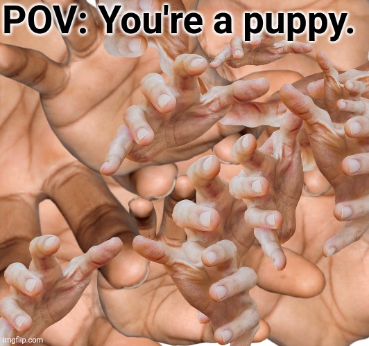 Because people can't help but stroke a dog. | POV: You're a puppy. | image tagged in hands,puppy,dog,puppies,dogs,very handy | made w/ Imgflip meme maker