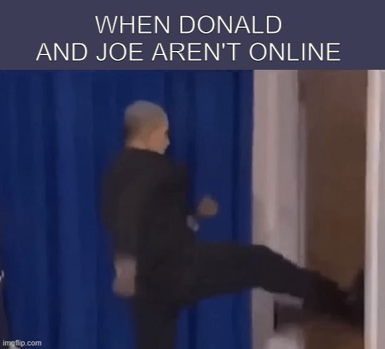 come online!!! | WHEN DONALD AND JOE AREN'T ONLINE | image tagged in fun,gaming | made w/ Imgflip meme maker