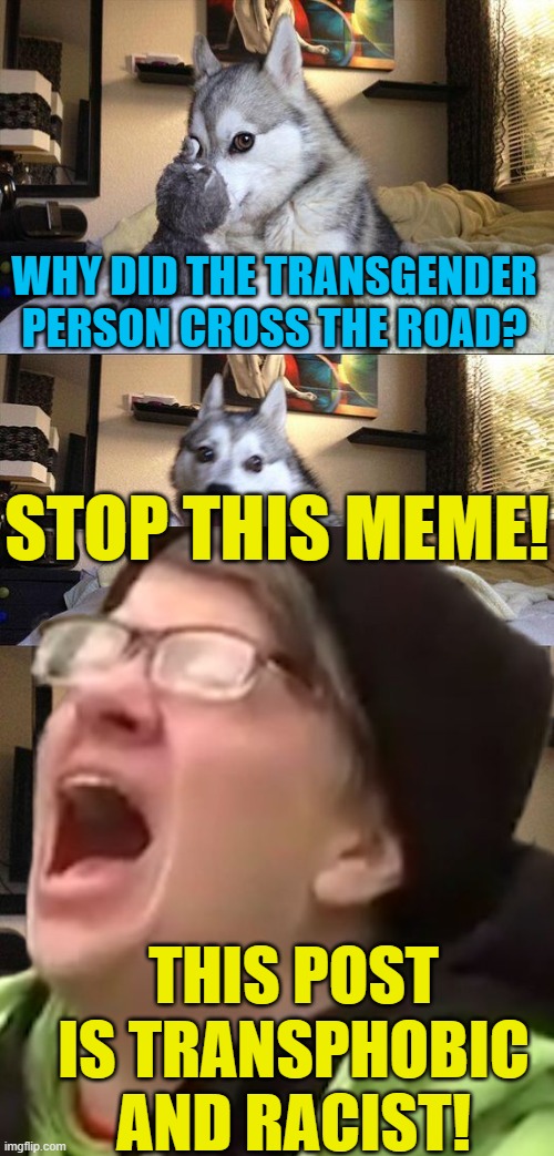Crying transphobic is the new censorship. | WHY DID THE TRANSGENDER PERSON CROSS THE ROAD? TO CENSOR SOME MEMES! | image tagged in political meme,bad pun dog,transgender,censorship | made w/ Imgflip meme maker
