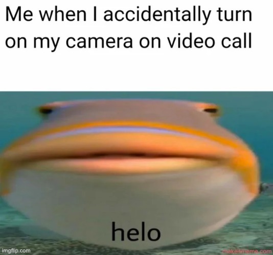 image tagged in memes,funny | made w/ Imgflip meme maker