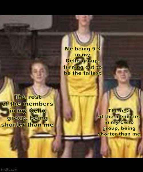 Abnormally tall basketball player | The rest of the members in my Cello group, being shorter than me Me being 5'3
in my Cello group,
turning out to
be the tallest The rest of t | image tagged in abnormally tall basketball player | made w/ Imgflip meme maker