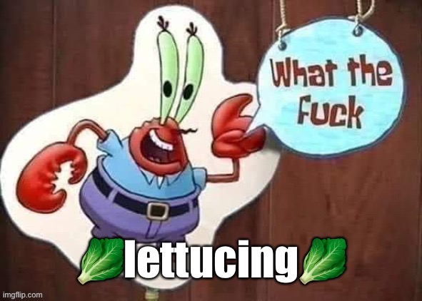 What the mr krabs | 🥬lettucing🥬 | image tagged in what the mr krabs | made w/ Imgflip meme maker