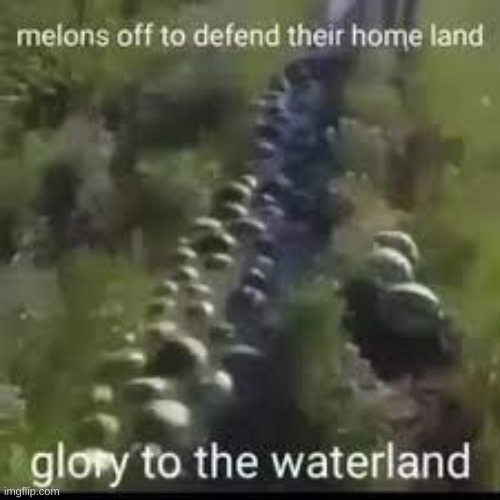 FOR THE WATERLAND!!! | image tagged in watermelon,funni | made w/ Imgflip meme maker