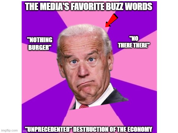 The Media's Buzz Words |  THE MEDIA'S FAVORITE BUZZ WORDS; "NO THERE THERE"; "NOTHING BURGER"; "UNPRECEDENTED" DESTRUCTION OF THE ECONOMY | image tagged in memes,media,biden | made w/ Imgflip meme maker