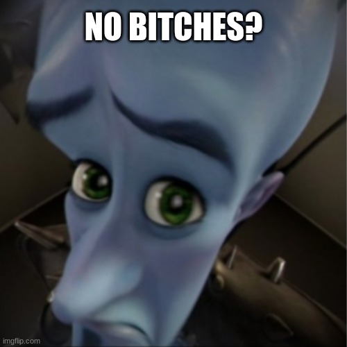 Every Time I Meet My Friends Be Like: | NO BITCHES? | image tagged in megamind peeking | made w/ Imgflip meme maker