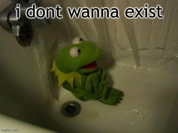 life sucks azz | i dont wanna exist | image tagged in depressed kermit | made w/ Imgflip meme maker
