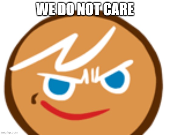 gingerbrave.exe | WE DO NOT CARE | image tagged in gingerbrave exe | made w/ Imgflip meme maker