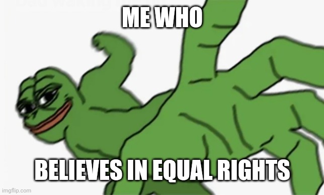 pepe punch | ME WHO BELIEVES IN EQUAL RIGHTS | image tagged in pepe punch | made w/ Imgflip meme maker