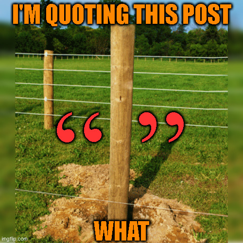 Quoted Post | I'M QUOTING THIS POST; “ ”; WHAT | image tagged in fence post | made w/ Imgflip meme maker