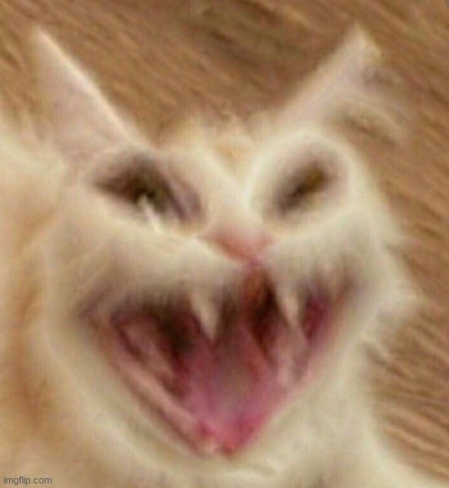 cat go aaaaaaaa | image tagged in cat go aaaaaaaa | made w/ Imgflip meme maker