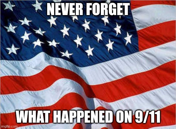 USA Flag | NEVER FORGET WHAT HAPPENED ON 9/11 | image tagged in usa flag | made w/ Imgflip meme maker