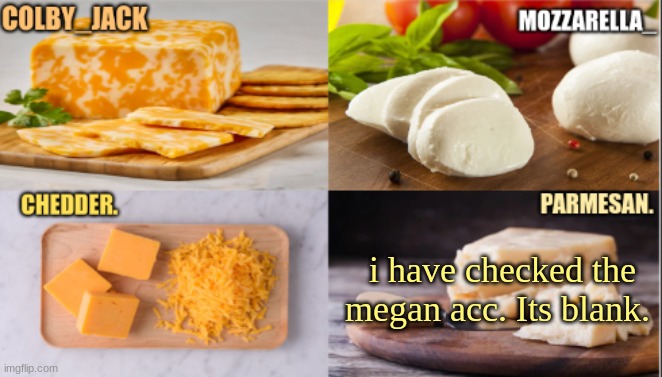 for now | i have checked the megan acc. Its blank. | image tagged in the cheese temp | made w/ Imgflip meme maker