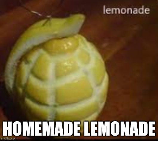 :P | HOMEMADE LEMONADE | image tagged in lemon,when life gives you lemons x,boom | made w/ Imgflip meme maker
