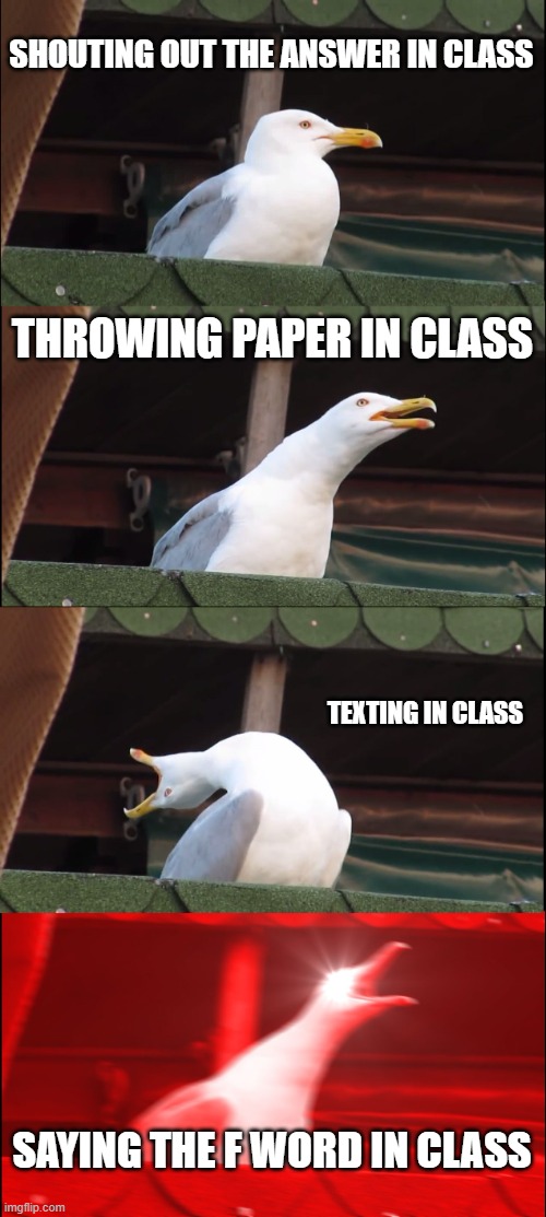Inhaling Seagull | SHOUTING OUT THE ANSWER IN CLASS; THROWING PAPER IN CLASS; TEXTING IN CLASS; SAYING THE F WORD IN CLASS | image tagged in memes,inhaling seagull | made w/ Imgflip meme maker