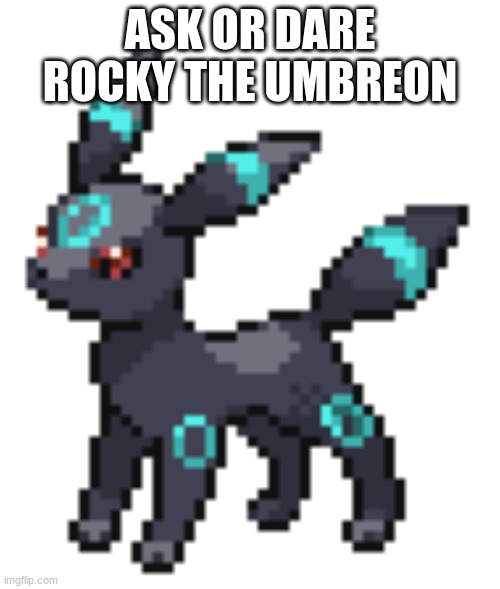 ... | ASK OR DARE ROCKY THE UMBREON | image tagged in rocky the umbreon | made w/ Imgflip meme maker