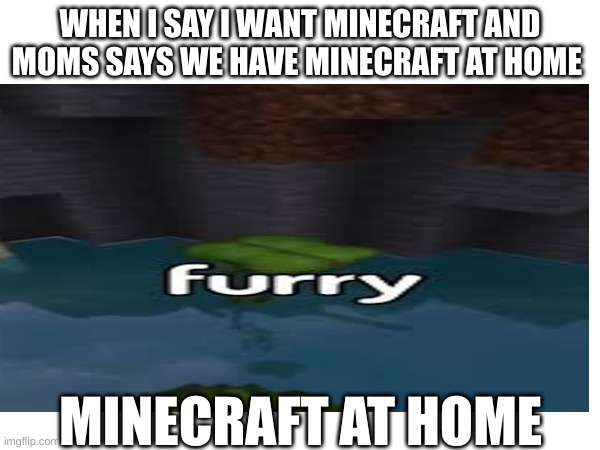 WHEN I SAY I WANT MINECRAFT AND MOMS SAYS WE HAVE MINECRAFT AT HOME; MINECRAFT AT HOME | image tagged in minecraft | made w/ Imgflip meme maker