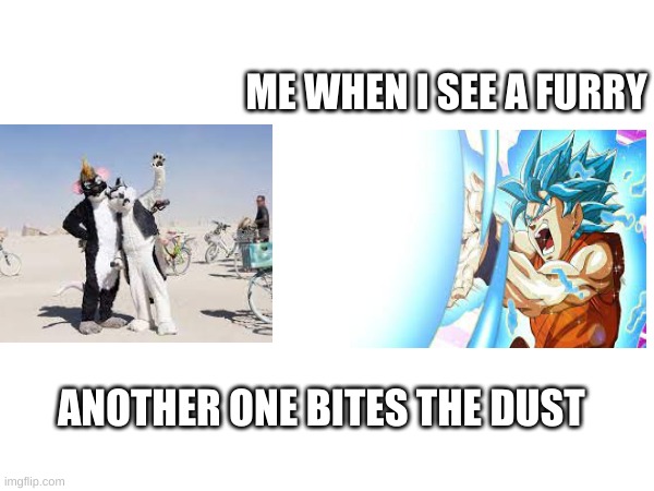 they need to be gone | ME WHEN I SEE A FURRY; ANOTHER ONE BITES THE DUST | image tagged in anti furry,goku,anime | made w/ Imgflip meme maker