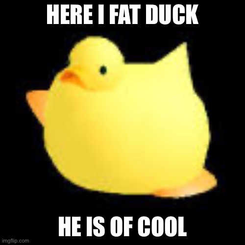 Replace i with is | HERE I FAT DUCK; HE IS OF COOL | image tagged in fat ducky | made w/ Imgflip meme maker