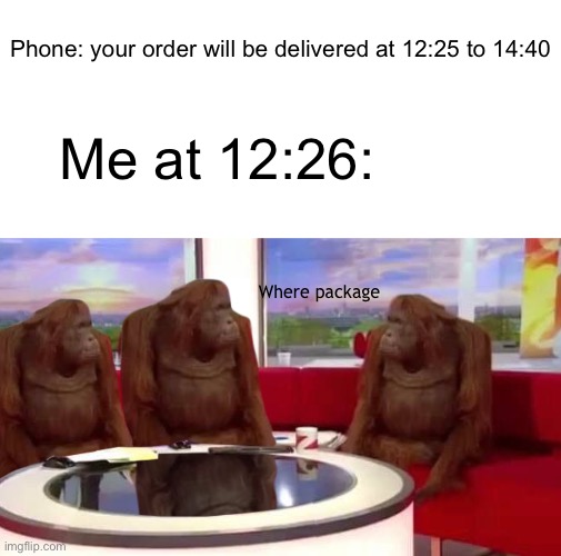 Where package | Phone: your order will be delivered at 12:25 to 14:40; Me at 12:26:; Where package | image tagged in where monkey,where package | made w/ Imgflip meme maker