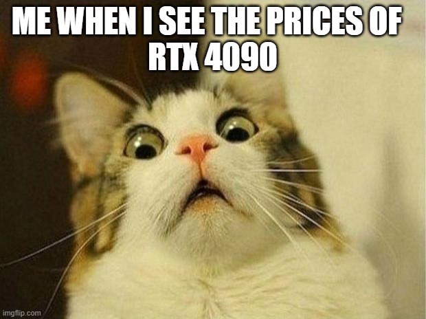 Scared Cat Meme | ME WHEN I SEE THE PRICES OF  
RTX 4090 | image tagged in memes,scared cat | made w/ Imgflip meme maker