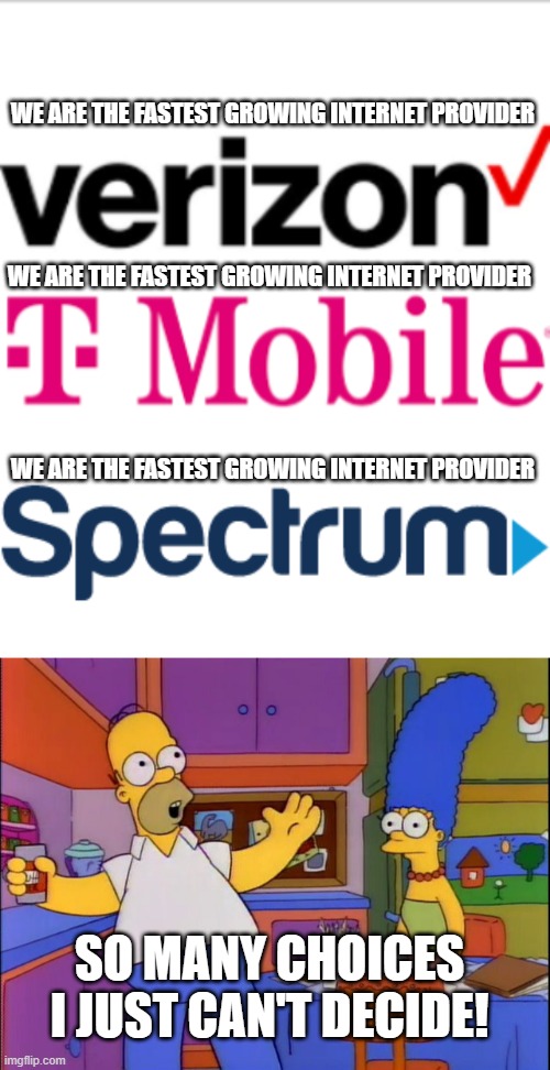So who is it going to be? | WE ARE THE FASTEST GROWING INTERNET PROVIDER; WE ARE THE FASTEST GROWING INTERNET PROVIDER; WE ARE THE FASTEST GROWING INTERNET PROVIDER; SO MANY CHOICES I JUST CAN'T DECIDE! | image tagged in make up your mind,internet,spectrum,verizon,t-mobile,funny | made w/ Imgflip meme maker