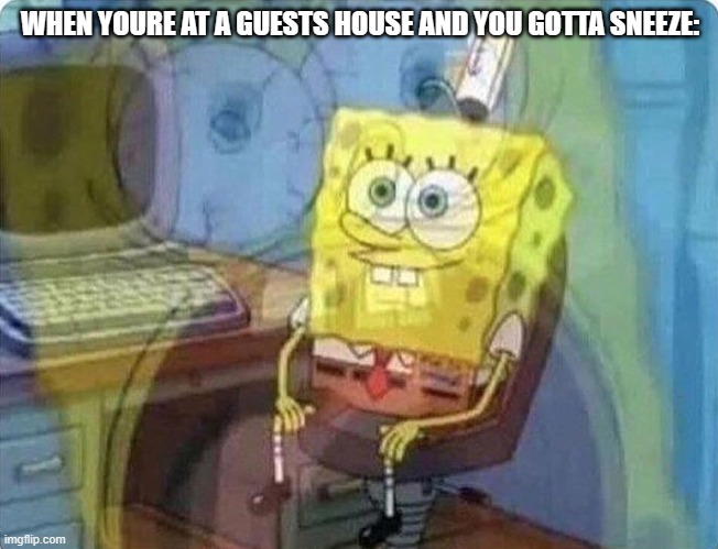 I hate when this happens XD | WHEN YOURE AT A GUESTS HOUSE AND YOU GOTTA SNEEZE: | image tagged in spongebob screaming inside | made w/ Imgflip meme maker