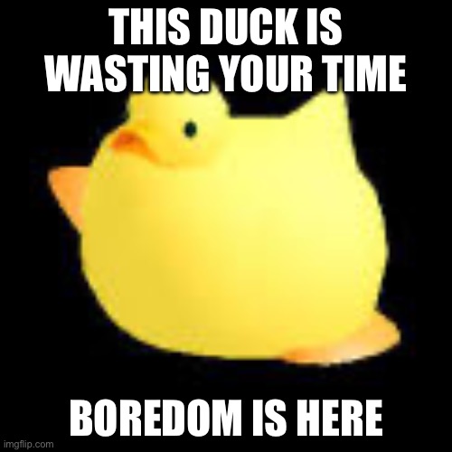 Fat ducky | THIS DUCK IS WASTING YOUR TIME; BOREDOM IS HERE | image tagged in fat ducky | made w/ Imgflip meme maker