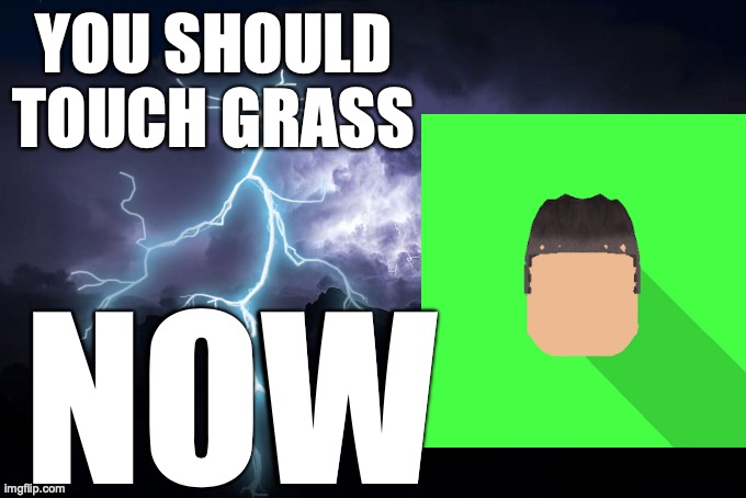 GO TOUCH GRASS NOW by DistanceText Sound Effect - Meme Button - Tuna