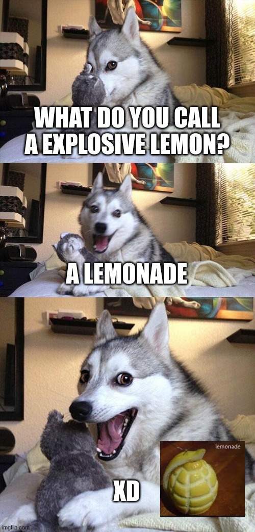 XDXDXDXD | WHAT DO YOU CALL A EXPLOSIVE LEMON? A LEMONADE; XD | image tagged in memes,bad pun dog | made w/ Imgflip meme maker