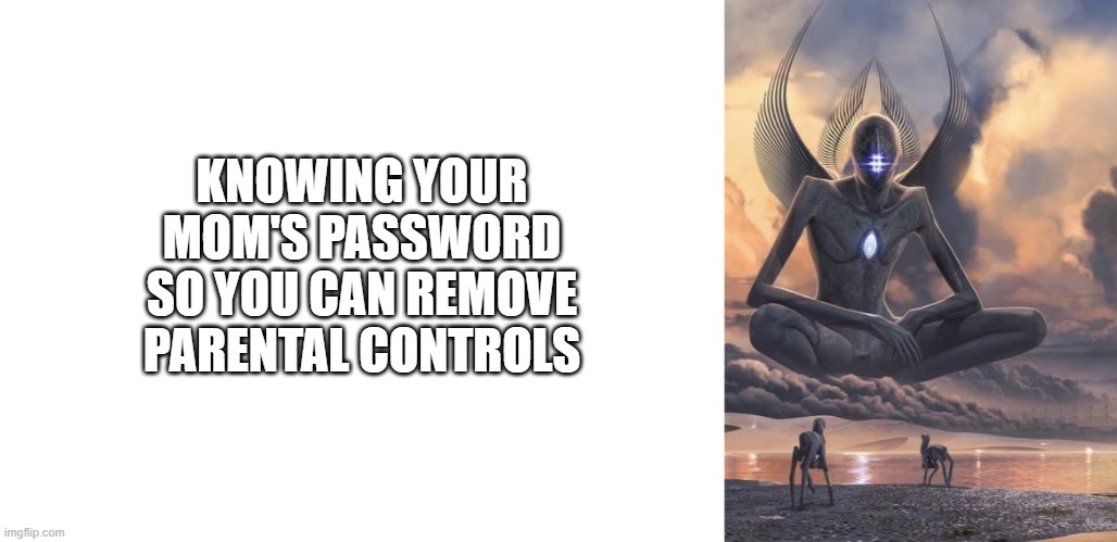KNOWING YOUR MOM'S PASSWORD SO YOU CAN REMOVE PARENTAL CONTROLS | image tagged in blank white template,alien god | made w/ Imgflip meme maker