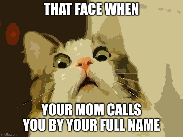 the ture horror | THAT FACE WHEN; YOUR MOM CALLS YOU BY YOUR FULL NAME | image tagged in memes,scared cat | made w/ Imgflip meme maker