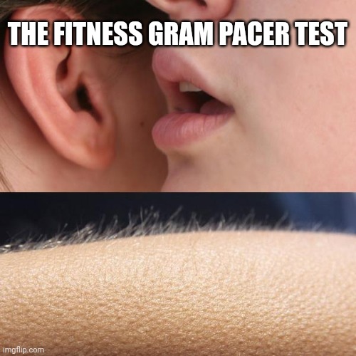 Haha so funny (idc) | THE FITNESS GRAM PACER TEST | image tagged in whisper and goosebumps | made w/ Imgflip meme maker