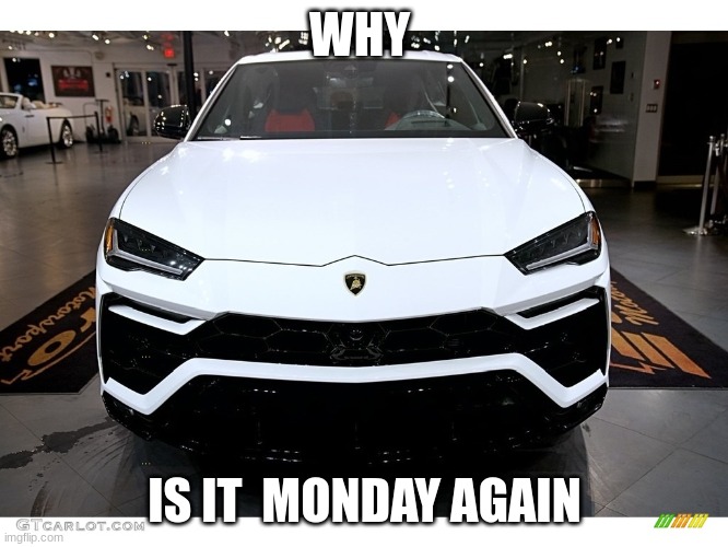 WHY; IS IT  MONDAY AGAIN | image tagged in i have no idea what i am doing | made w/ Imgflip meme maker