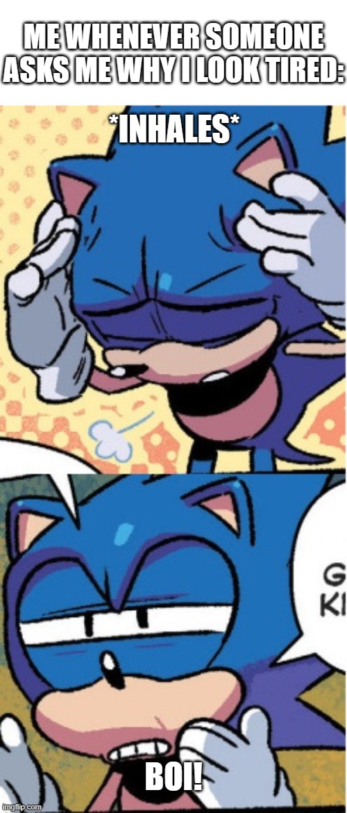 Do you really need to point it out? | ME WHENEVER SOMEONE ASKS ME WHY I LOOK TIRED:; *INHALES*; BOI! | image tagged in sonic boi | made w/ Imgflip meme maker