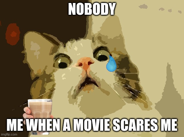 WHY do this happen to me | NOBODY; ME WHEN A MOVIE SCARES ME | image tagged in memes,scared cat | made w/ Imgflip meme maker
