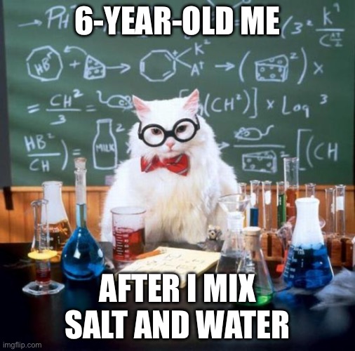 Chemistry Cat | 6-YEAR-OLD ME; AFTER I MIX SALT AND WATER | image tagged in memes,chemistry cat | made w/ Imgflip meme maker