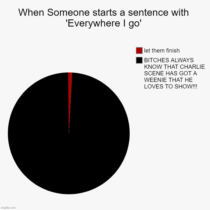 When Someone starts a sentence with 'Everywhere I go' | BITCHES ALWAYS KNOW THAT CHARLIE SCENE HAS GOT A WEENIE THAT HE LOVES TO SHOW!!!, le | image tagged in charts,pie charts | made w/ Imgflip chart maker